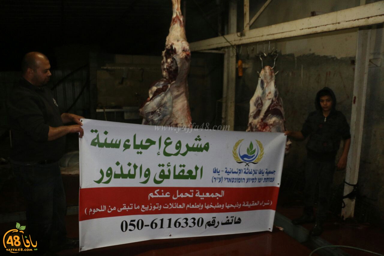 mashro3 ada7yau (1).jpg